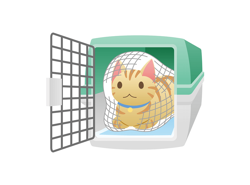 猫ちゃんはネット（洗濯ネット等）に入れてお連れください。